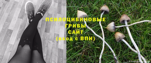 2c-b Балахна