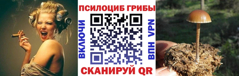 мега как зайти  Ясный  Псилоцибиновые грибы GOLDEN TEACHER 